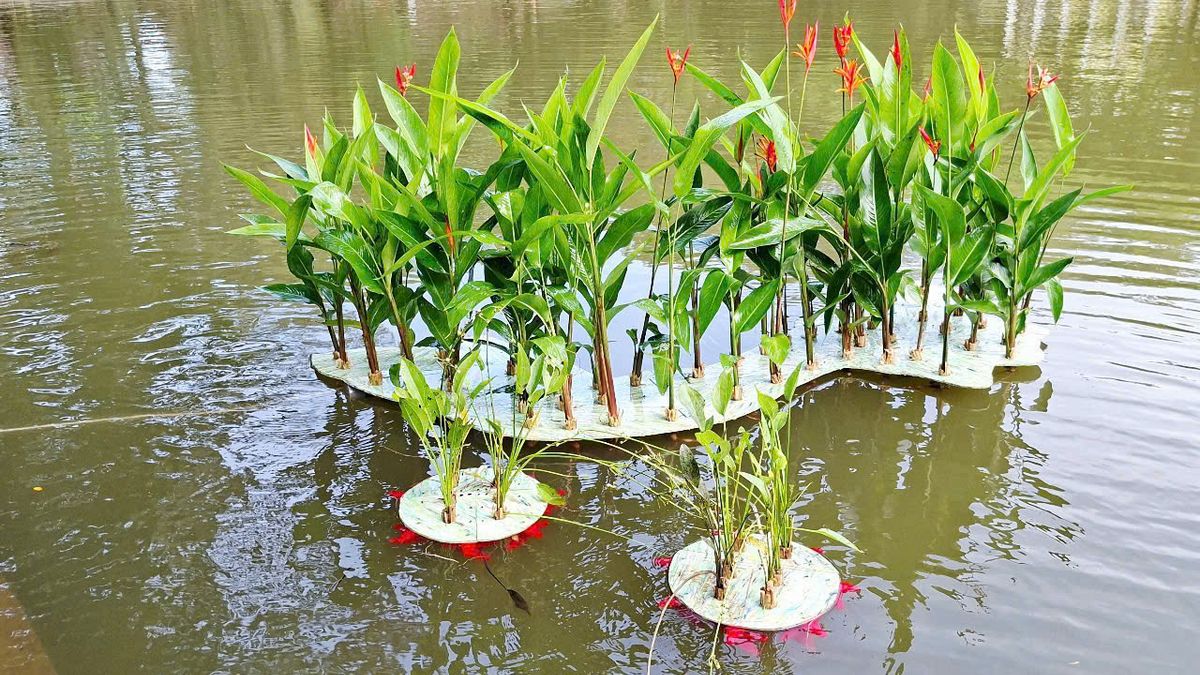 Kết hợp vật liệu tái chế, thực vật và sinh cảnh trong một mô-đun nổi.
