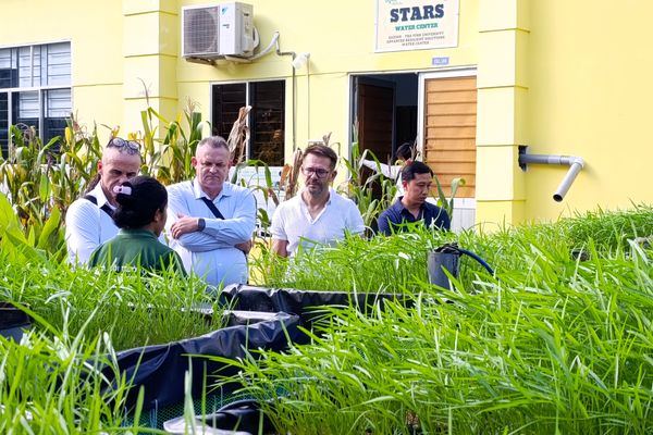 Đoàn Chuyên gia Đại học Công nghệ Kielce, Cộng hòa Ba Lan tham quan, tìm hiểu các mô hình công nghệ nước tại Trung tâm Nước STARS