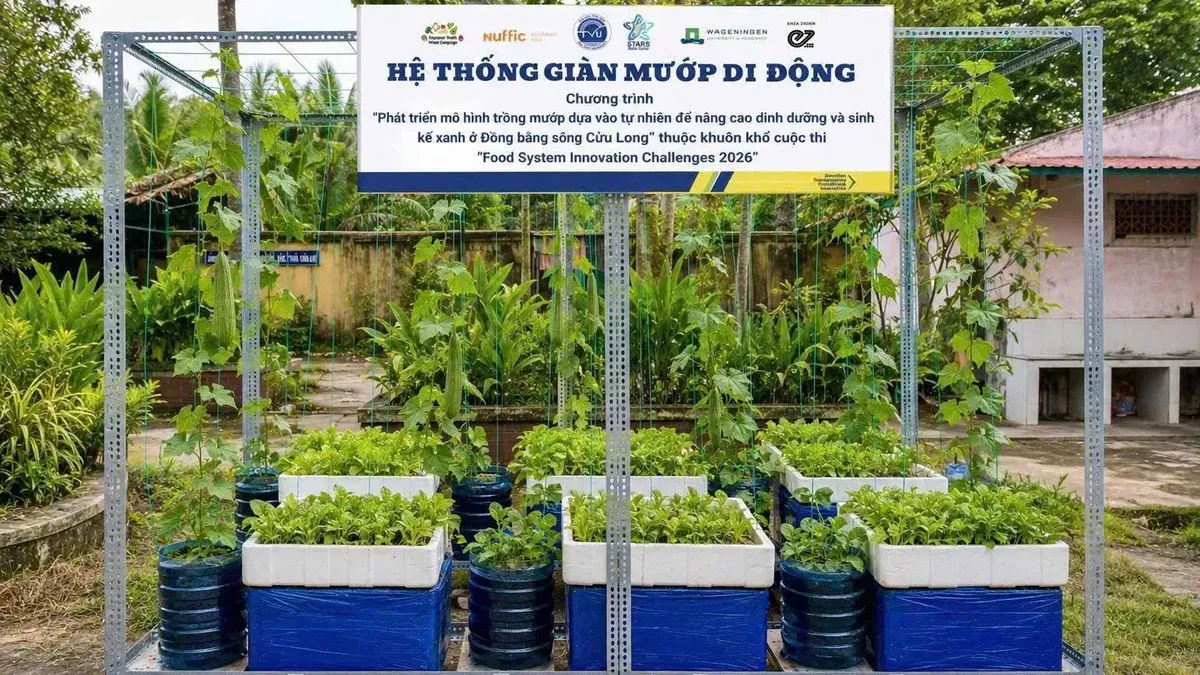 Mô hình mướp cho dinh dưỡng và sinh kế xanh