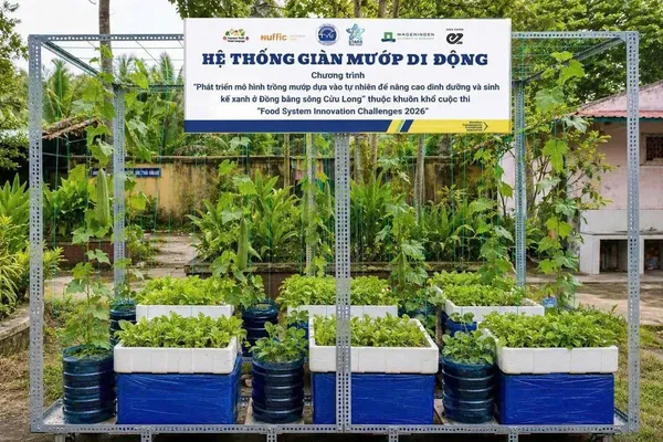 Mô hình mướp cho dinh dưỡng và sinh kế xanh